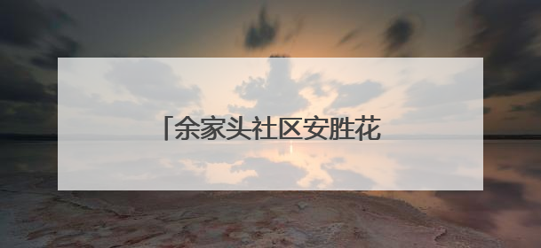 余家头社区安胜花园片区党支部开展廉政主题党日活动