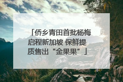 侨乡青田首批杨梅启程新加坡 保鲜提质售出“金果果”