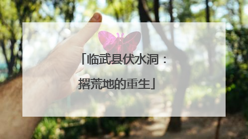 临武县伏水洞：撂荒地的重生