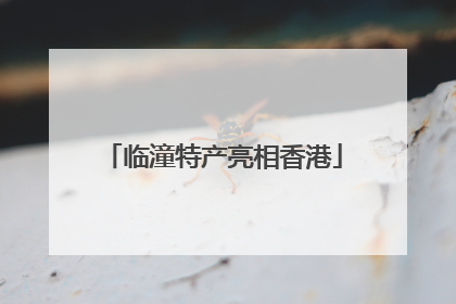 临潼特产亮相香港