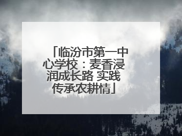 临汾市第一中心学校：麦香浸润成长路 实践传承农耕情