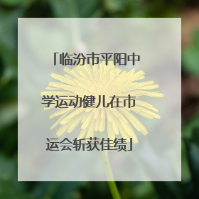 临汾市平阳中学运动健儿在市运会斩获佳绩