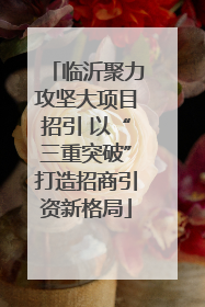 临沂聚力攻坚大项目招引 以“三重突破”打造招商引资新格局