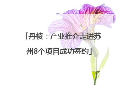 丹棱：产业推介走进苏州8个项目成功签约