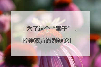 为了这个“案子”，控辩双方激烈辩论