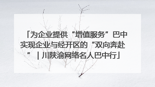为企业提供“增值服务”巴中实现企业与经开区的“双向奔赴”｜川陕渝网络名人巴中行