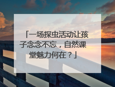 一场探虫活动让孩子念念不忘，自然课堂魅力何在？