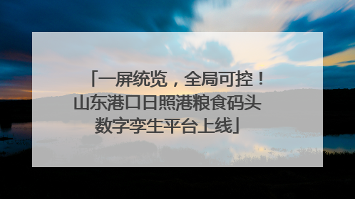 一屏统览，全局可控！山东港口日照港粮食码头数字孪生平台上线