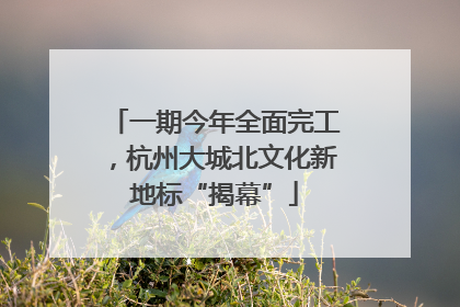 一期今年全面完工，杭州大城北文化新地标“揭幕”