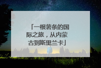 一根薯条的国际之旅，从内蒙古到斯里兰卡