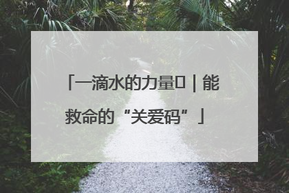 一滴水的力量㉖｜能救命的“关爱码”