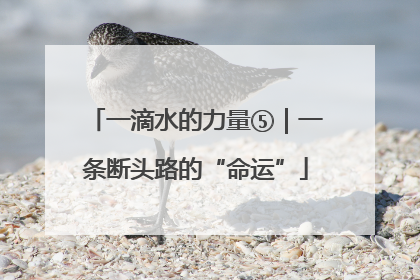 一滴水的力量⑤｜一条断头路的“命运”