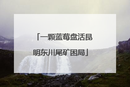 一颗蓝莓盘活昆明东川尾矿困局