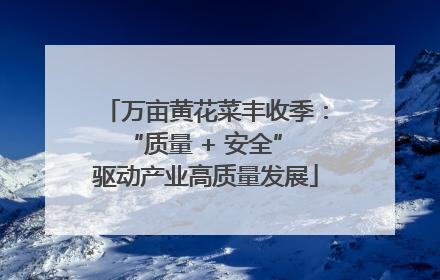 万亩黄花菜丰收季：“质量 + 安全” 驱动产业高质量发展
