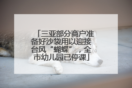 三亚部分商户准备好沙袋用以迎接台风“蝴蝶”，全市幼儿园已停课