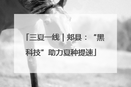 三夏一线｜郏县：“黑科技”助力夏种提速