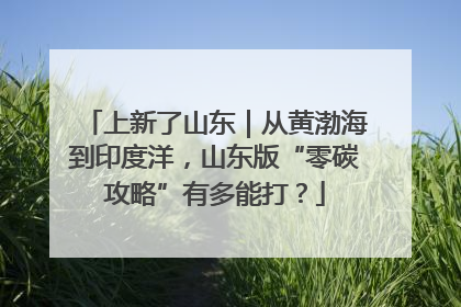 上新了山东｜从黄渤海到印度洋，山东版“零碳攻略”有多能打？