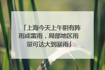上海今天上午阴有阵雨或雷雨，局部地区雨量可达大到暴雨