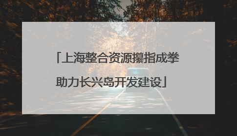 上海整合资源攥指成拳助力长兴岛开发建设