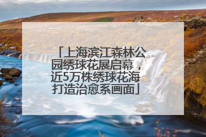 上海滨江森林公园绣球花展启幕，近5万株绣球花海打造治愈系画面