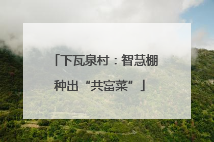 下瓦泉村：智慧棚种出“共富菜”