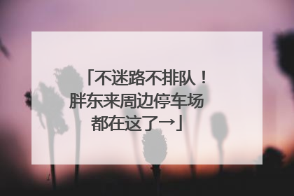 不迷路不排队！胖东来周边停车场都在这了→