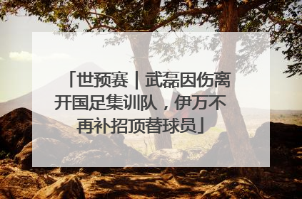 世预赛｜武磊因伤离开国足集训队，伊万不再补招顶替球员