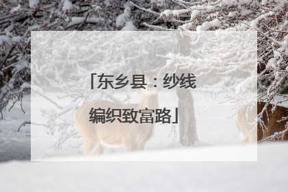 东乡县：纱线编织致富路