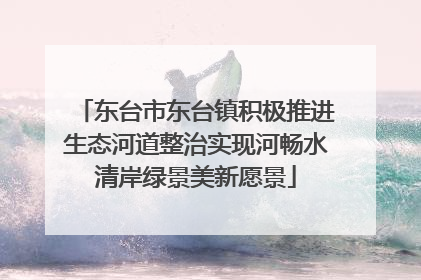 东台市东台镇积极推进生态河道整治实现河畅水清岸绿景美新愿景