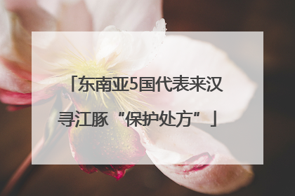 东南亚5国代表来汉寻江豚“保护处方”