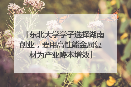 东北大学学子选择湖南创业，要用高性能金属复材为产业降本增效