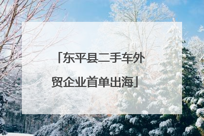 东平县二手车外贸企业首单出海