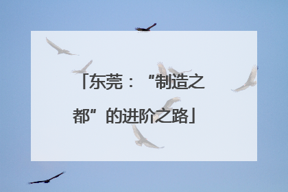 东莞：“制造之都”的进阶之路