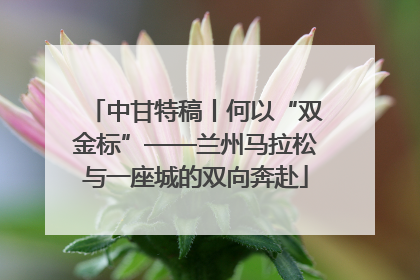 中甘特稿丨何以“双金标”——兰州马拉松与一座城的双向奔赴