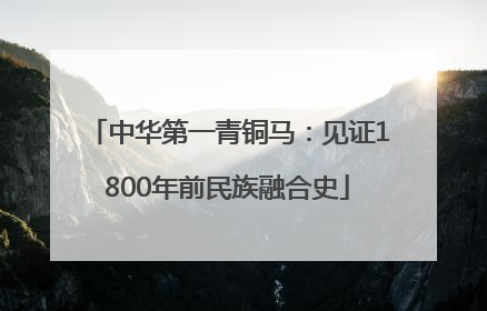 中华第一青铜马：见证1800年前民族融合史