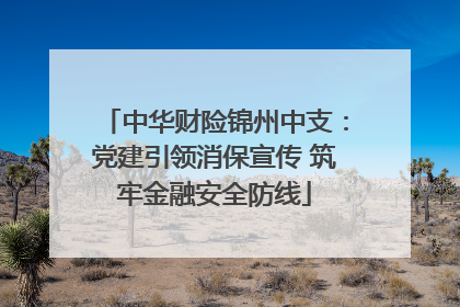 中华财险锦州中支：党建引领消保宣传 筑牢金融安全防线