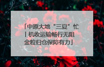 中原大地“三夏”忙丨机收运输畅行无阻 金粒归仓保障有力