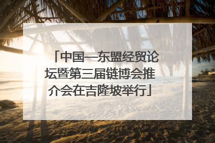 中国—东盟经贸论坛暨第三届链博会推介会在吉隆坡举行