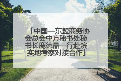 中国—东盟商务协会总会中方秘书处秘书长鹿德晶一行赴滨实地考察对接合作