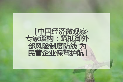 中国经济微观察·专家谈构：筑抵御外部风险制度防线 为民营企业保驾护航
