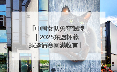 中国女队勇夺银牌｜2025东盟杯藤球邀请赛圆满收官