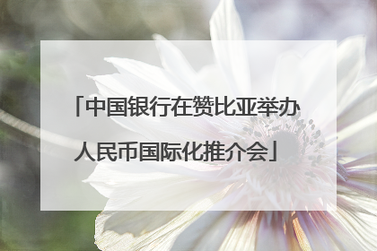 中国银行在赞比亚举办人民币国际化推介会
