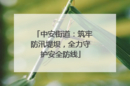 中安街道：筑牢防汛堤坝，全力守护安全防线