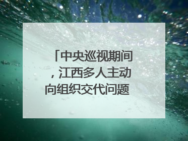 中央巡视期间，江西多人主动向组织交代问题｜打虎拍蝇