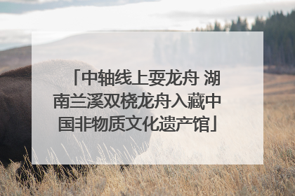 中轴线上耍龙舟 湖南兰溪双桡龙舟入藏中国非物质文化遗产馆