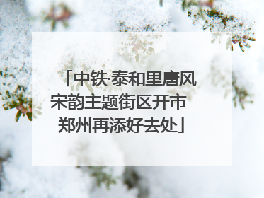 中铁·泰和里唐风宋韵主题街区开市 郑州再添好去处