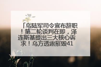 乌陆军司令宣布辞职！第二轮谈判在即，泽连斯基提出三大核心诉求！乌方透露摧毁41架俄战略轰炸机