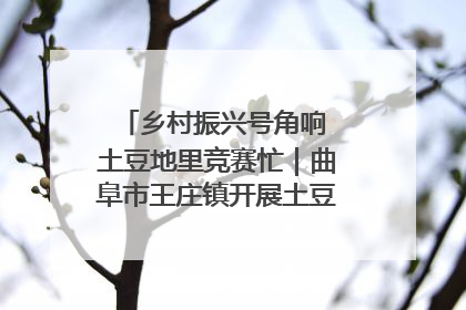 乡村振兴号角响 土豆地里竞赛忙｜曲阜市王庄镇开展土豆收获劳动竞赛