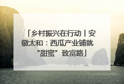乡村振兴在行动丨安徽太和：西瓜产业铺就“甜蜜”致富路
