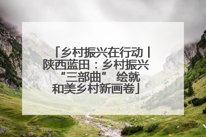 乡村振兴在行动丨陕西蓝田：乡村振兴 “三部曲” 绘就和美乡村新画卷
